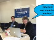 eu reviewer asks how many peer researcher are there