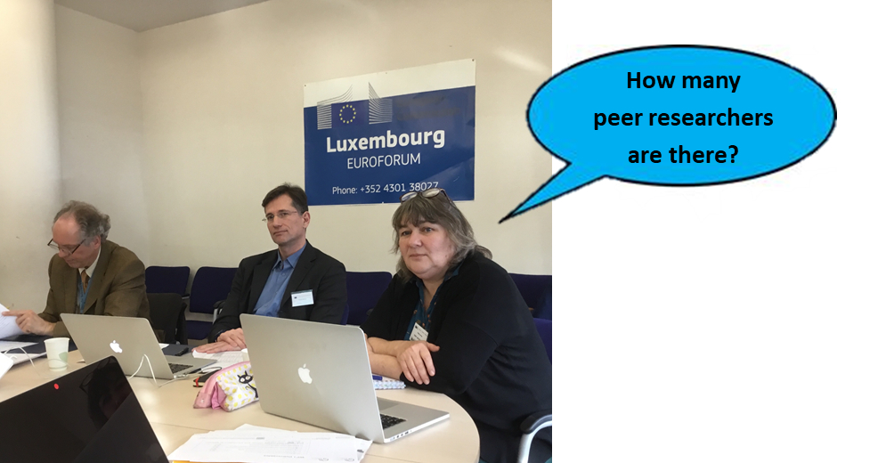 eu reviewer asks how many peer researcher are there