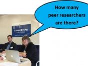 Reviewer asks how many peer researcher are there